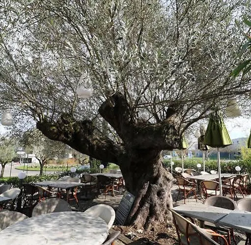 酒店 图卢兹体育场酒店 3*